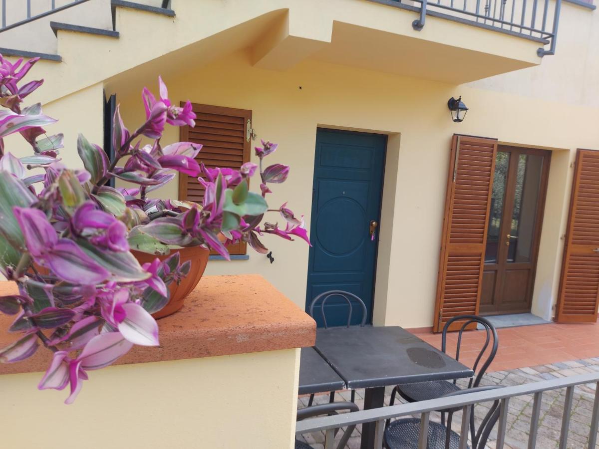 San Rocco Appartamenti - Appartamento La Vite Asciano Pisano 外观 照片